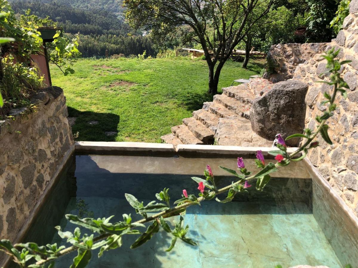 Wild Oasis - Algarve Guest House Esgravatadouro Exterior photo