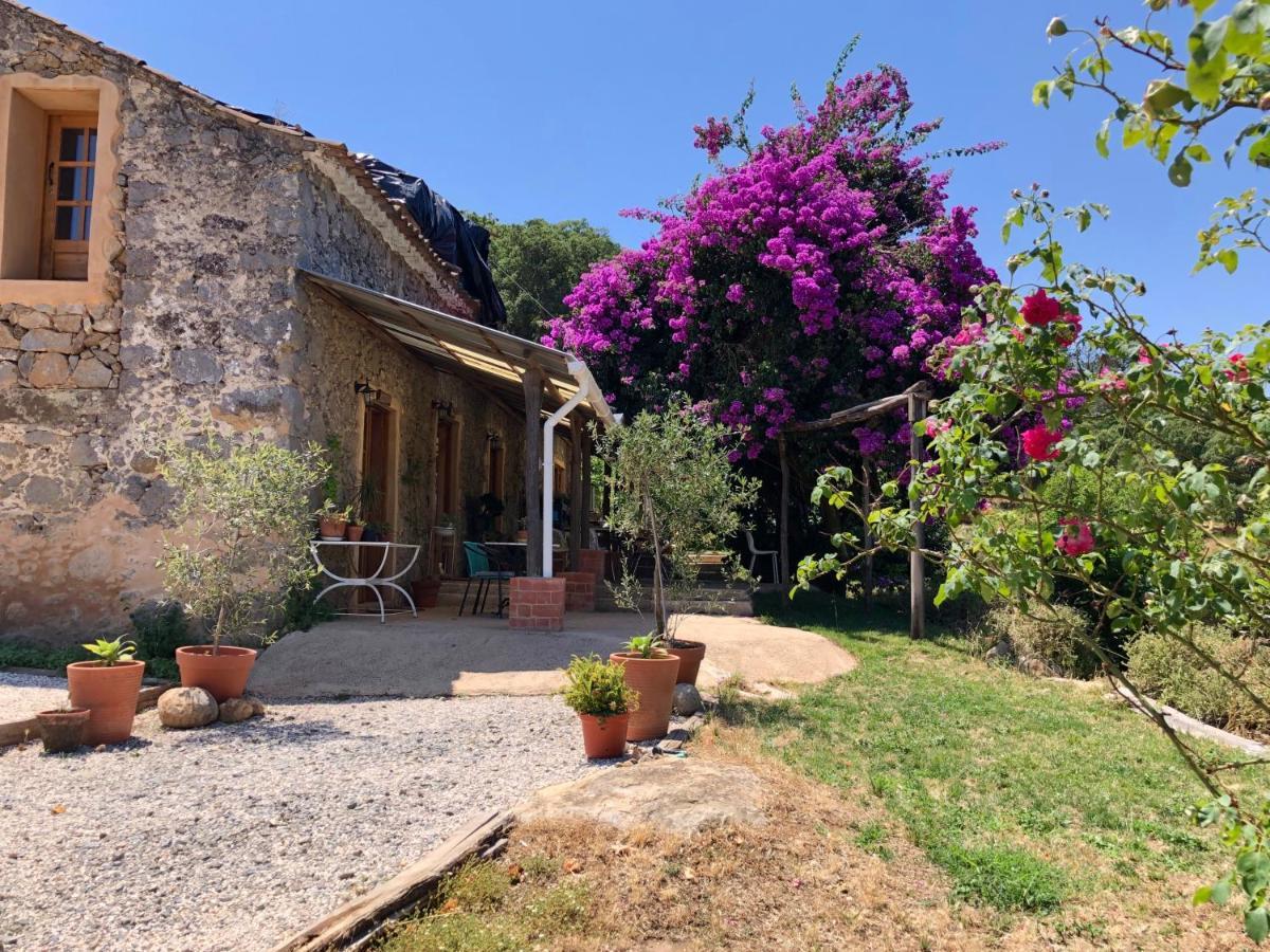 Wild Oasis - Algarve Guest House Esgravatadouro Exterior photo