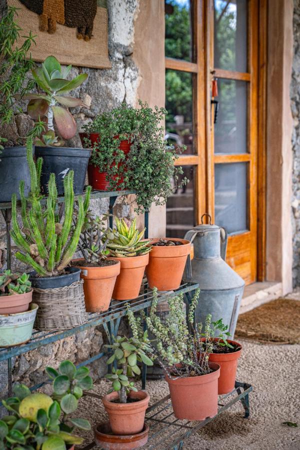 Wild Oasis - Algarve Guest House Esgravatadouro Exterior photo