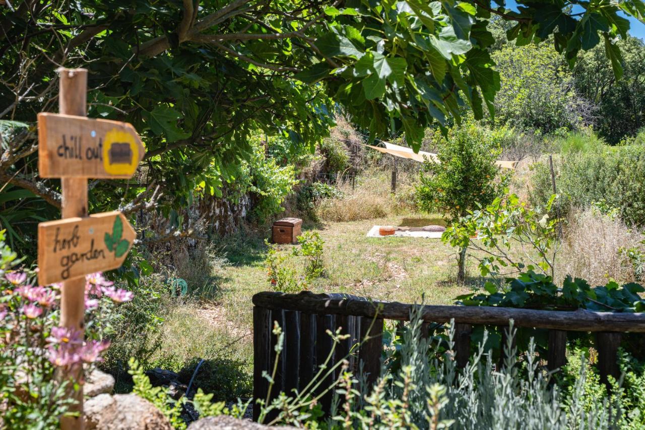 Wild Oasis - Algarve Guest House Esgravatadouro Exterior photo